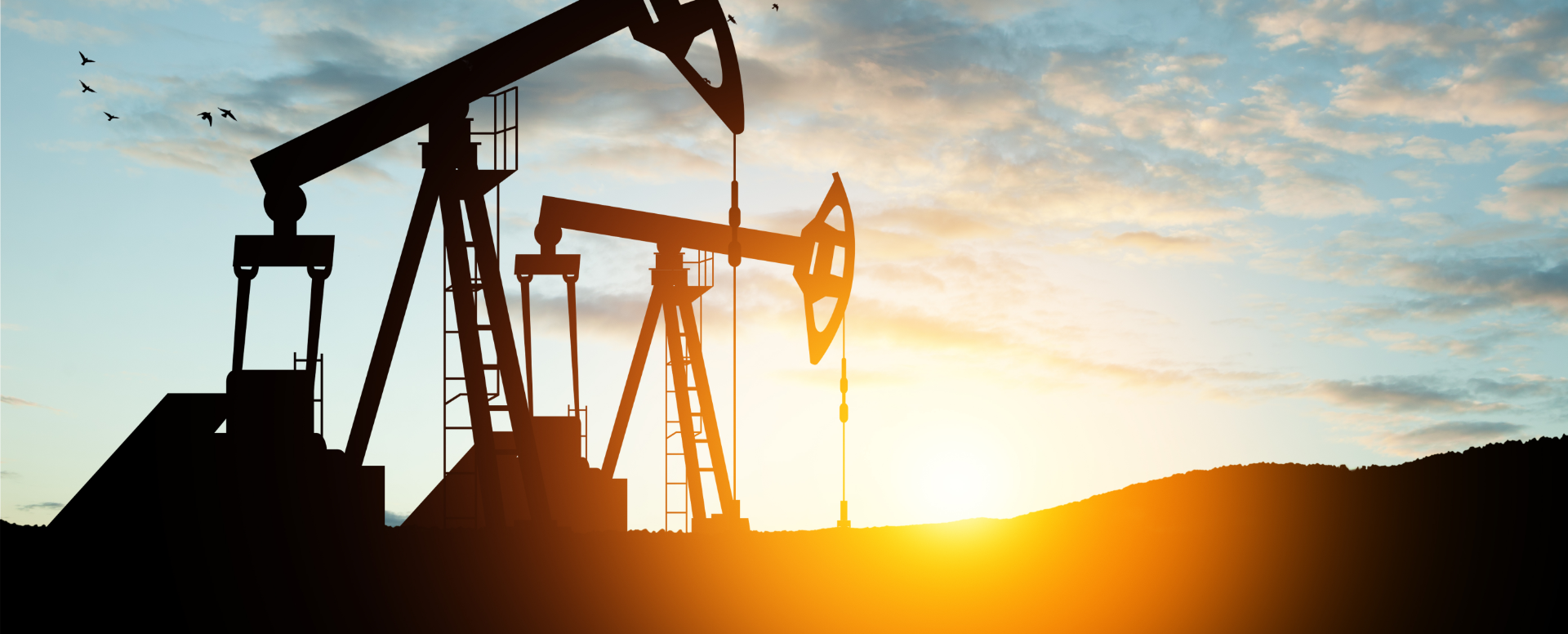 ABM (Account Based Marketing) for Oil & Gas Software provider 